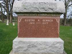 Gustav Albert Senner 