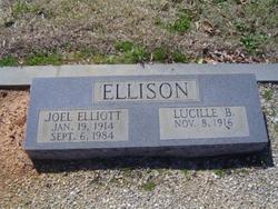 Joel Elliott Ellison 