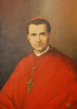 Cardinal Sebastiano Martinelli 