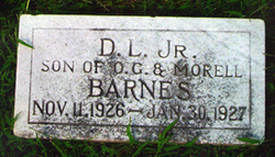 Delaney L. Barnes Jr.