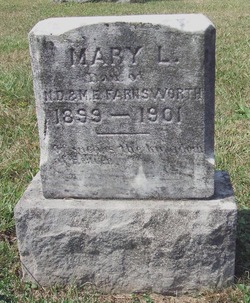Mary L Farnsworth 