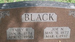 Joe N. Black 