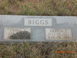 Amanda E Biggs 