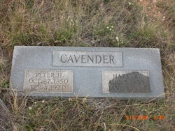 Mary Anne <I>Rodgers</I> Cavender 