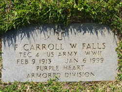 Frank Carroll Wilson Falls 