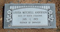 Louisa Mitchell Anderson 