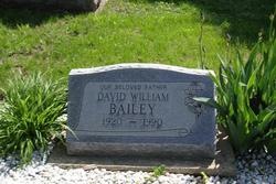 David William Bailey 