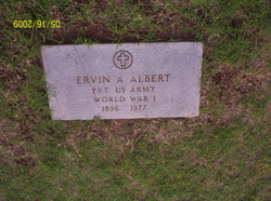 Ervin A Albert 