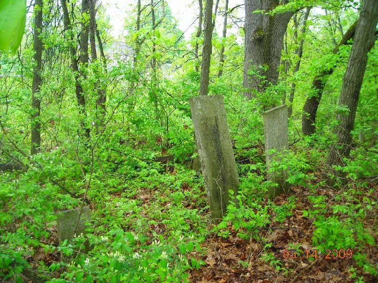 Ross - Coffinger Cemetery