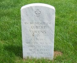 Albert Owens 