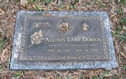 Allison Lake Dobson 