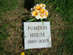 Pumpkin House 