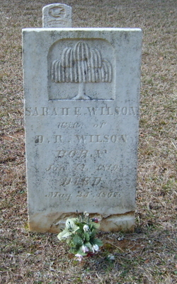 Sarah E. <I>Eidy</I> Wilson 