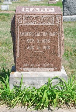 Ambers Calton Harp 
