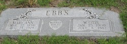 Mary Ann <I>Hicks</I> Ebbs 