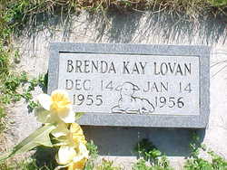 Brenda K Lovan 
