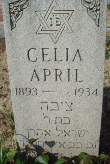 Celia April 
