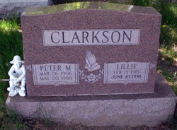 Peter M Clarkson 