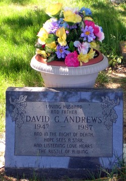 David G Andrews 