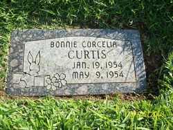 Bonnie Corcelia Curtis 