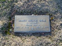 James Melvin Ogle 