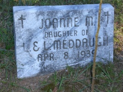 Joanne M Meddaugh 