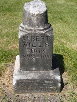 Albert Willis Cook 
