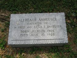 Althea S Anheuser 
