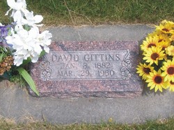 David Gittins 