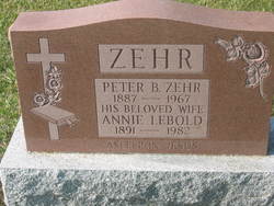Peter B Zehr 
