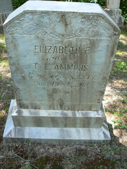 Elizabeth F <I>Pointer</I> Ammons 