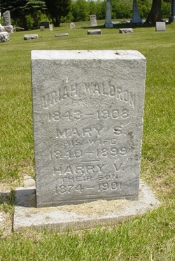 Mary S <I>Whitcomb</I> Waldron 