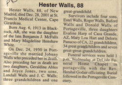 Hester <I>White</I> Walls 