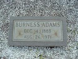 Burness Adams 