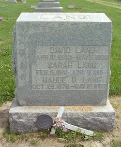 David Lang 