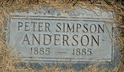 Peter Simpson Anderson 