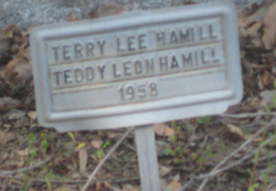 Teddy Leon Hamill 