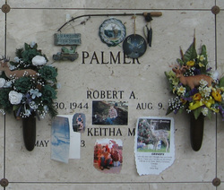 Robert A Palmer 
