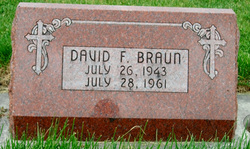 David Braun 