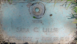 Sara C Lillie 