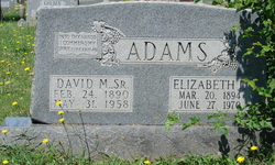 David Miles Adams Sr.