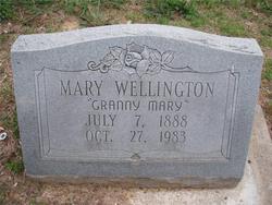 Mary Maud “Granny Mary” <I>Farmer</I> Wellington 