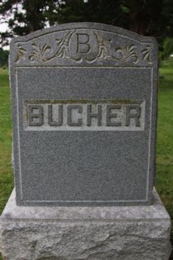 Lizzie J Bucher 