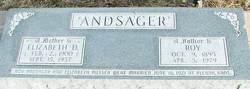 Roy Andsager 