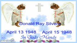 Donald Ray Silvers 