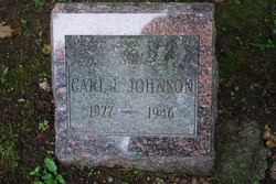 Carl L. Johnson 