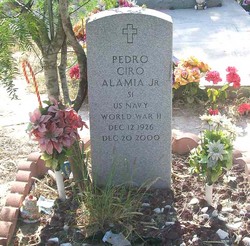 Pedro Ciro Alamia Jr.