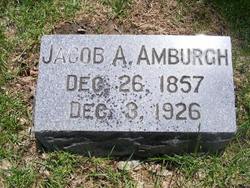 Jacob A Amburgh 