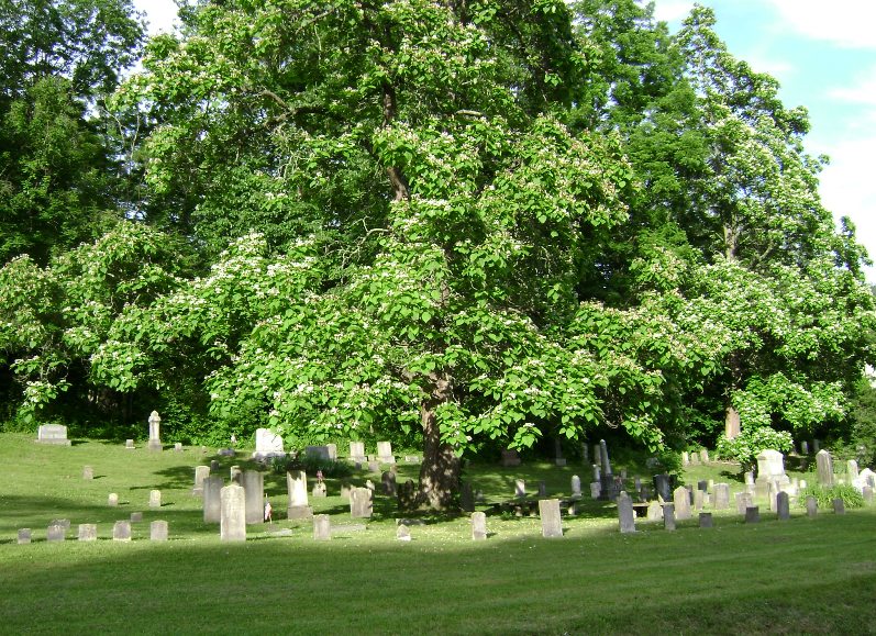 Shaffersville Cemetery
