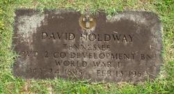 David William Holdway 